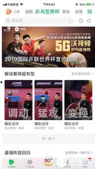 国内直播视频国产,创新驱动下的娱乐新篇章