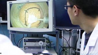 国产VR左右视频