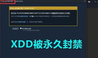国产蓝洞系统下载视频,探索高效视频处理新体验