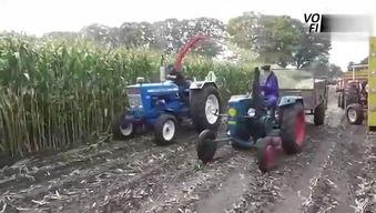 国产小型收割机视频,高效便捷的田间利器