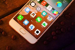 国产手机自拍小视频,捕捉生活瞬间,展现个性风采 第2张 国产手机自拍小视频,捕捉生活瞬间,展现个性风采 第2张