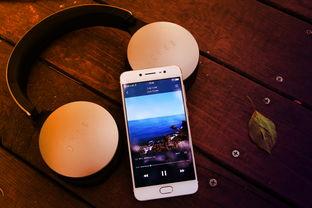 国产手机自拍小视频,捕捉生活瞬间,展现个性风采 第3张 国产手机自拍小视频,捕捉生活瞬间,展现个性风采 第3张