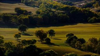 自由视频免费国产户外