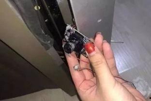 新婚夫妻偷拍国产视频,一场道德与法律的较量